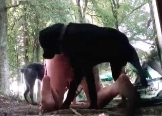 Two trained hunters are drilling a slutty zoophile