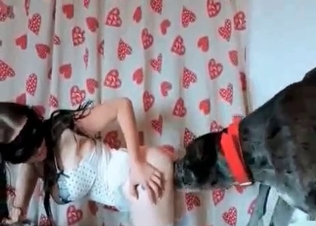 Dark-haired cutie enjoys dog sex