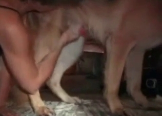 Amazing dog enjoys dirty bestiality