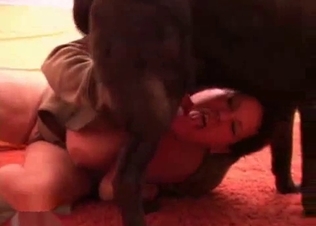 Fat busty zoophile sucks her black dog