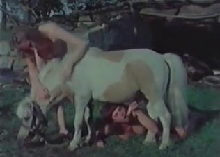 Two zoophiles are lying and sucking a doggy's wiener