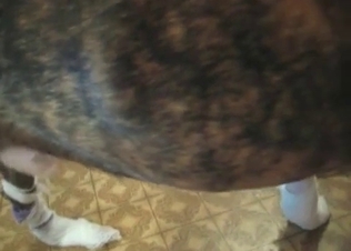 Hunter is smelling and then liking a juicy moist vagina