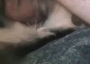 Stunning anal sex with a doggy in the close-up scene