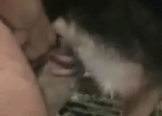 Stunning anal sex with a doggy in the close-up scene