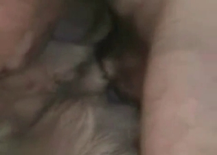 Stunning anal sex with a doggy in the close-up scene
