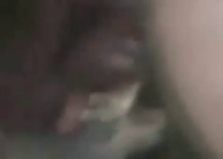 Stunning anal sex with a doggy in the close-up scene