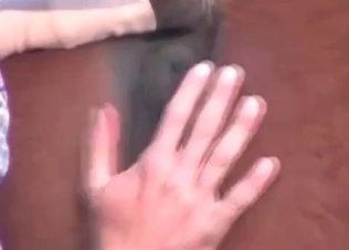 Zoophile is exploring a tight anal hole of a horse