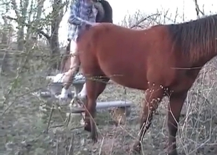 Zoophile is exploring a tight anal hole of a horse