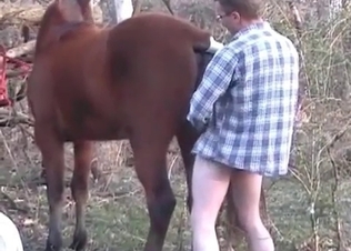 Zoophile is exploring a tight anal hole of a horse