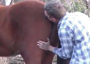 Zoophile is exploring a tight anal hole of a horse