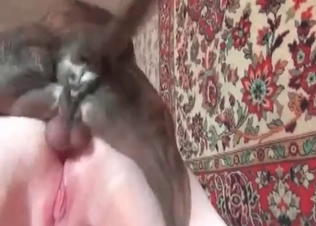 Spicy doggy is drilling a juicy tight snatch