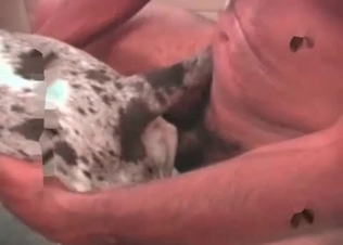 Black guy is sucking his dog's dick in the close-up