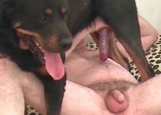 Impressive woman is enjoying dirty zoophilia action
