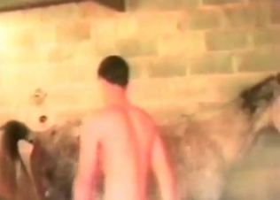 Horse is getting fucked by the filthy guys