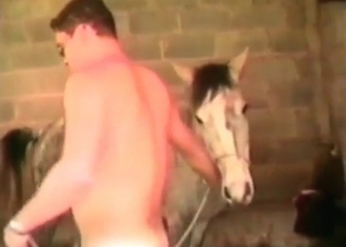 Horse is getting fucked by the filthy guys