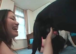 Tanned Japanese zoophile is sucking two animals