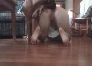 Naughty zoophile is getting licked by her home hound