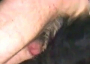 Filthy as hell animal anal sex in the close-up