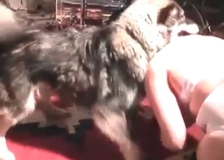 Awesome hound fucks with a nice-looking zoophile