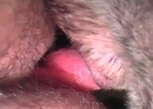 Ass to ass sex with a doggy and a zoophile slut