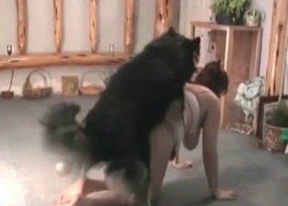 Playful husky and a big-breasted zoophile in the bed
