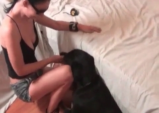 Long-legged girl is enjoying her trained doggy