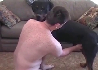 Horny Doberman and a zoophile in the bedroom