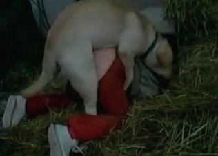 White doggy is penetrating her little juicy twat