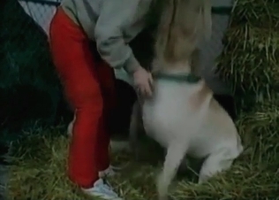 White doggy is penetrating her little juicy twat