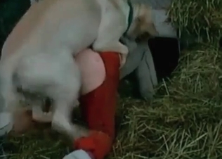White doggy is penetrating her little juicy twat