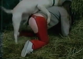 White doggy is penetrating her little juicy twat
