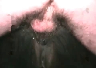 Very dirty and disgusting anal sex with an animal