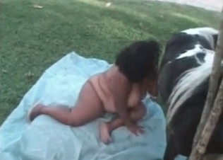 Kinky fatty bitch is taking a horse wiener