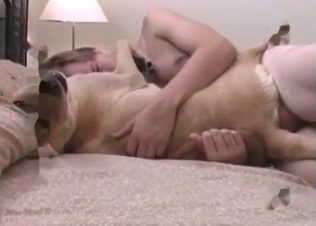 Dog's asshole is being fucked so freaking deep