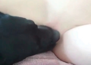 Zoo porn in the close-up with a filthy zoophile