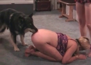 Very hairy doggy penetrates a juicy twat