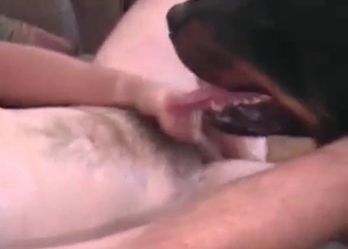 Sensual hunter enjoys a dirty anal action