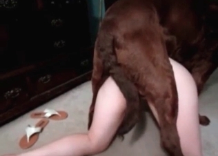 Dark Doberman impales her wide-opened vagina