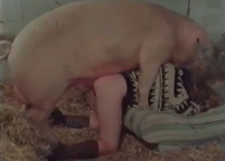 Big pink pork drills an innocent slut in the barn