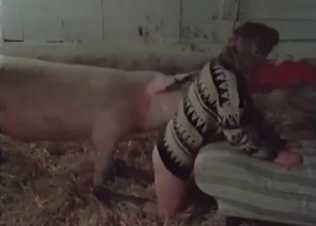 Big pink pork drills an innocent slut in the barn