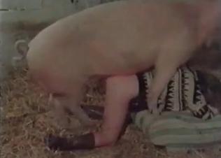 Big pink pork drills an innocent slut in the barn