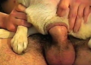 Dude is wearing doggy's asshole on his hard dick