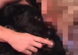 Zoophile is giving a hot anilingus for a doggy