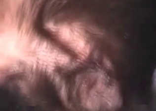 Zoophile is giving a hot anilingus for a doggy