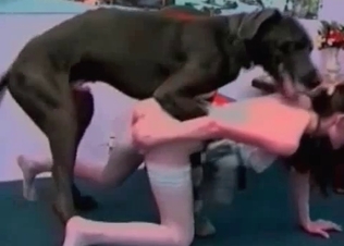 Big black hunter impales her wide-opened tight twat