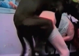 Big black hunter impales her wide-opened tight twat