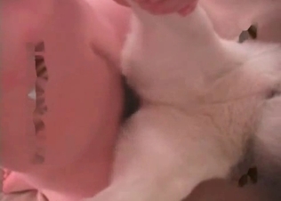 Dirty anal sex with a doggy in the missionary pose