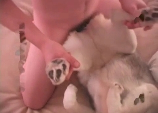 Dirty anal sex with a doggy in the missionary pose