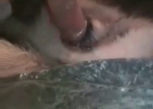 Male fucks with an animal in the doggy style pose