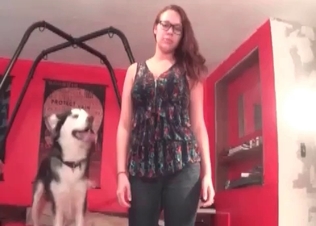 Kinky zoophile slut and her lovely playful husky